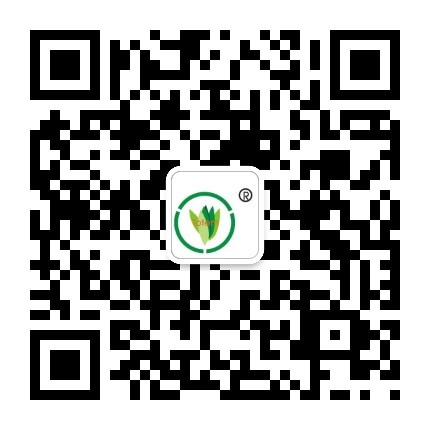 &#20061;&#24030;&#32593;&#39029;&#29256;&#45;&#20061;&#24030;&#40;&#20013;&#22269;&#41;&#45;&#20061;&#24030;&#40;&#20013;&#22269;&#41;