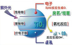 &#20061;&#24030;&#32593;&#39029;&#29256;&#45;&#20061;&#24030;&#40;&#20013;&#22269;&#41;&#45;&#20061;&#24030;&#40;&#20013;&#22269;&#41;